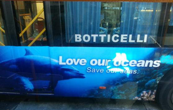 Dolphin Bus wrap